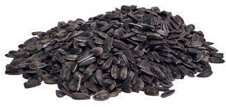The Benefits Of Black Oil Sunflower Seeds Black Oil Sunflower Seeds Sunflower Seeds Benefits Sunflower Seeds