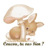 Résultat de recherche d'images pour "coucou"