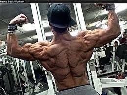 pin on back shoulders workout