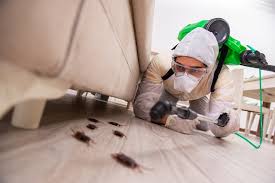 Pest control near houston tx: 5 Best Pest Control Companies In Dallas Top Rated Pest Control Agency