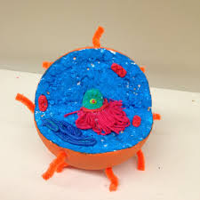 How do you cut a styrofoam ball? Animal Cell Learning Tool 18 Steps With Pictures Instructables