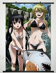 Home Decor Anime Akame ga KILL Wall Scroll Poster Sexy Bikini Akame & Leone  -019 - AliExpress