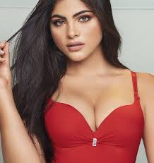 Brasier Carol Soporte y Control Ref. 652-2