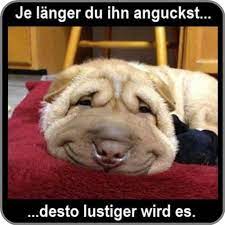Fotos des lachens als avatar, profilbild oder teilen, so dass sie mit ihren freunden lachen können, indem sie über whatsapp, twitter y facebook messenger diese lustigen. Download Witzige Bilder Kostenlos Fur Whatsapp On Pc Mac With Appkiwi Apk Downloader