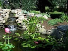 Epingle Sur Idees De Jardin