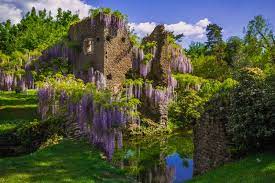 We did not find results for: The Garden Of Ninfa The Legendary Italian Garden Built By A Princess