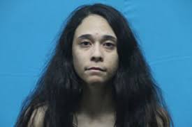 Mississippi pair arrested in Keller after carjacking attempts, driving into  a house, police say