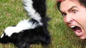 Pepper Spray In Face Jesseandmike mp3 mp4 flv webm m4a hd video indir