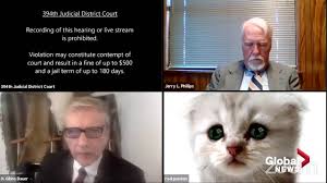 Of course, the lawyer would have no reason to even know that feature exists. Texas Judge Issues Zoom Warning After Lawyer Struggles With Cat Filter Watch News Videos Online