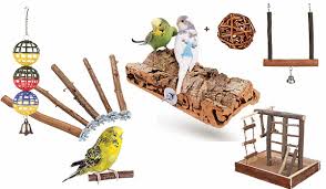 Der betroffene sehnt sich in seinem realen leben sehr nach einem treuen partner an dies nimmt nach allgemeiner deutung des symbols bezug auf den tatsächlichen gesundheitszustand des träumenden. Die 9 Besten Wellensittich Spielzeuge Tierischehelden