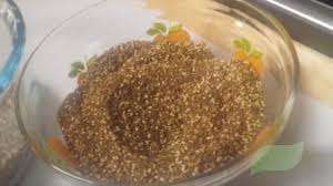 How To Prepare The Lebanese Zaatar Mix كيفية تحضير خلطة الزعتر اللبنانية Youtube Food Desserts Zaatar
