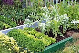 Some people try to overcomplicate things. Winter Crops To Plant In Autumn Australian Handyman Magazine