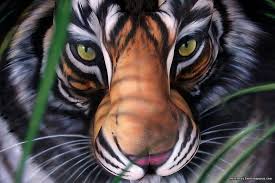 Banyak hadiah menarik buat kalian lho! Asal Usul Saka Harimau Jadian Sentiasa Panas