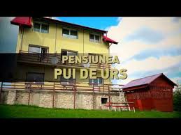 Pensiunea Pui De Urs Youtube