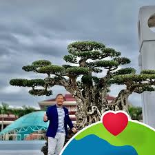 Profile for Muoi Duong Van