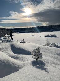 Image result for site:byggahus.se isbana