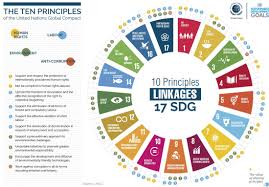 The sdgs in action app features: Principles Sdg Services