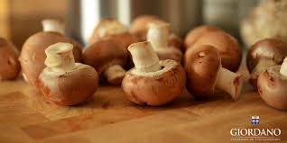 We did not find results for: Come Conservare I Funghi Blog Giordano Vini