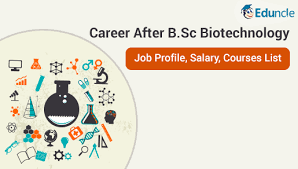 Which courses are available after doing bsc mathematics? Career After B Sc Biotechnology Job Profile Salary Courses List