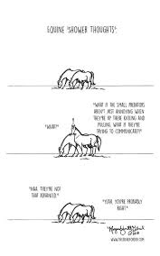 So For Those Unfamiliar With What A Shower Thought Is Feel Free To Hit Up Reddit Funny Horse Memes Funny Horse Pictures Horse Jokes