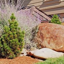 Department of energy facility, and the tennessee valley authority headquarters have important. Thress Nursery Gardens 29 Photos 10 Reviews Nurseries Gardening 7343 Old Clinton Pike Knoxville Tn Phone Number Yelp