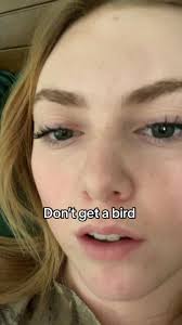 S/o white leghorns. 🙄🐔 #chickentok #chicken #egg #hen