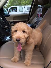 Erin Frederickson (@erinannfred)