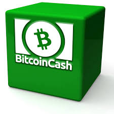 All transactions are recorded on a global public ledger called the blockchain. Bitcoin Cash Miners Break Records Processing Multiple 32 Mb Blocks Bitcoin News