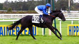 Unlock the full potential of your people and organization. 10 5 20 Fontainebleau Prix Jour De Galop Results And Reports