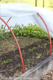 Made from sturdy tubular steel and nylon netting, the crop cage has a zippered opening so you can walk right in to harvest. Creative Vegetable Gardener Grow Great Carrots This Year With These Helpful Tips Creative Vegetable Gardener