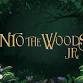 Into the Woods Jr. event image