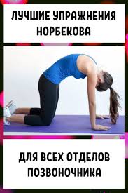 с помощью каких упражнений можно убрать живот и бока Luchshie Uprazhneniya Norbekova Dlya Vseh Otdelov Pozvonochnika Workout Health Fitness Fitness