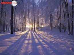 Follow the vibe and change your wallpaper every day! Winter Sunrise Or Sunset Beautiful Winter Scenes Winter Sunset Winter Wallpaper