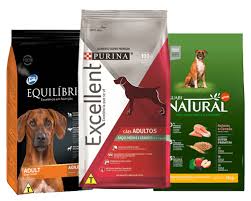 Rottweiler metzgerhund) é uma raça de cães molossos desenvolvida na alemanha. Fila Brasileiro Descubra Tudo Sobre Essa Raca Nacional