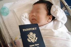 Image result for 中國孕婦來美產子