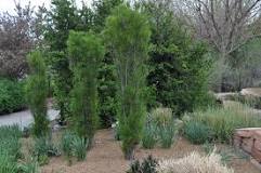 Image result