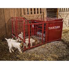 This week we bring to you a creep of the week from the creepy archives, a…» Tarter Farm And Ranch Equipment Goat Creep Feeder Red 650 Lb Capacity 50 In X 37 In X 48 In 270 Lb Weight Gc65 At Tractor Supply Co