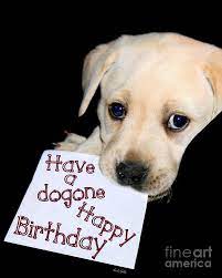 Upload/sell your artwork · satisfaction guaranteed Happy Birthday Puppy Card Photograph By Linda Galok