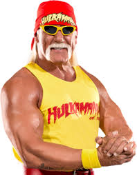 Hulk hogan has the height of 6 feet and 7 inches and has a weight of 137 kg. Hulk Hogan Wrestling Tv Tropes