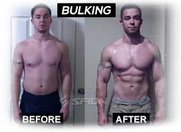 We did not find results for: Suplemen Gainer Terbaik Untuk Bulking Sfidn Science From Indonesia Articles