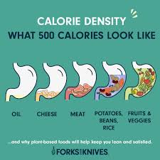 Provided is a list of high calorie, low volume foods and ways to incorporate them. Calorie Density Approach To Nutrition And Weight Management Forks Over Knives