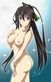 gentoku, shinonono houki, infinite stratos, highres, 10s, 1girl, ass, black  hair, blue eyes, breasts, female focus, gradient background, long hair,  nipples, nude, ponytail, ribbon, solo - Image View - | Gelbooru -