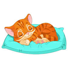 162 27 cat kitten ball cute. Sleeping Red Cat Drawing Free Image Download