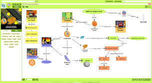 Includes the cell structure name, which types of cells contain the structure, description of the cell structure, and the function (job) of each cell structure! Make A Map Teaching Resources Brainpop Educators