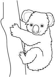 Coloring pages koala aboriginal colouring pages driverlayer search engine. Koala Printable Coloring Pages Coloringme Com