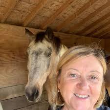 What happened to Queen Appliance Retail & Wholesale?