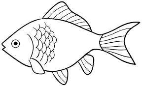 Pola lantai tari beserta gambar dan contohnya. Baru 23 Pola Gambar Ikan