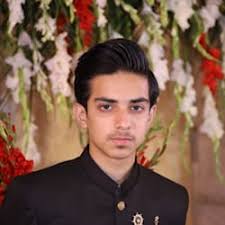 Build a stunning wordpress website within 24 hours by Awaismalik09