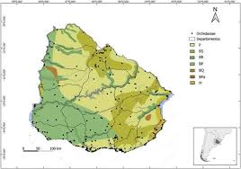 Image result for Orthochilus ruwenzoriensis