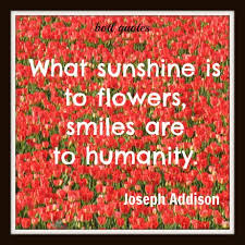 Botl Your Messages And Follow Them Across The Web Flower Quotes Quotes Happy Quotes